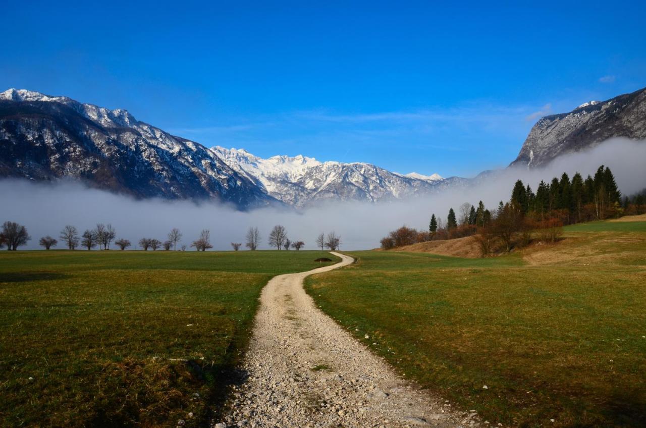Residence Novak Bohinj Exteriér fotografie